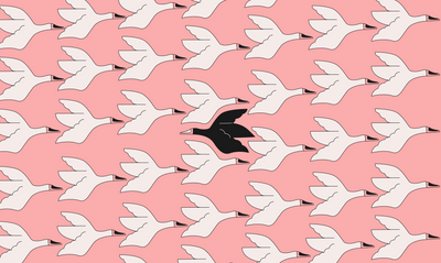 The Black Swan cover